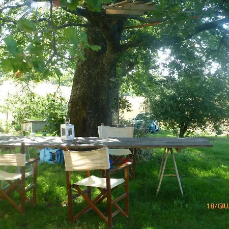 Apartment Casa Della Casa