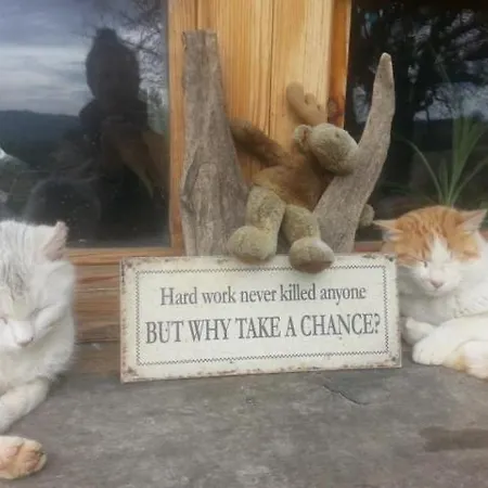 Casa Della Casa San Severino Marche