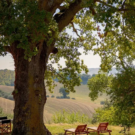 Casa Della Casa San Severino Marche