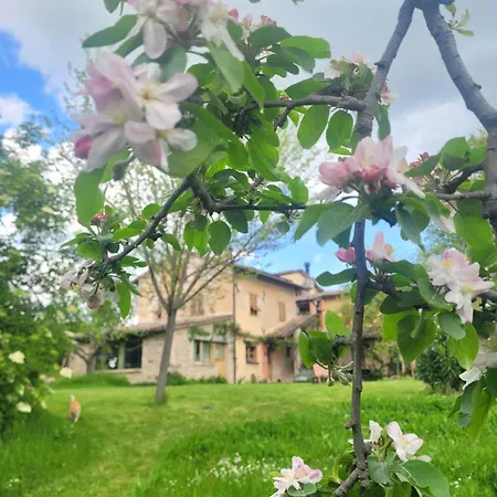 Daire Casa Della Casa San Severino Marche