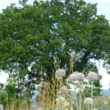 Apartment Casa Della Casa *