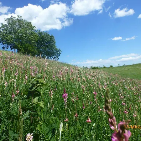 Casa Della Casa Apartment San Severino Marche