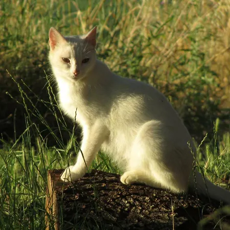 Casa Della Casa Lägenhet