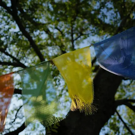 Apartment Casa Della Casa