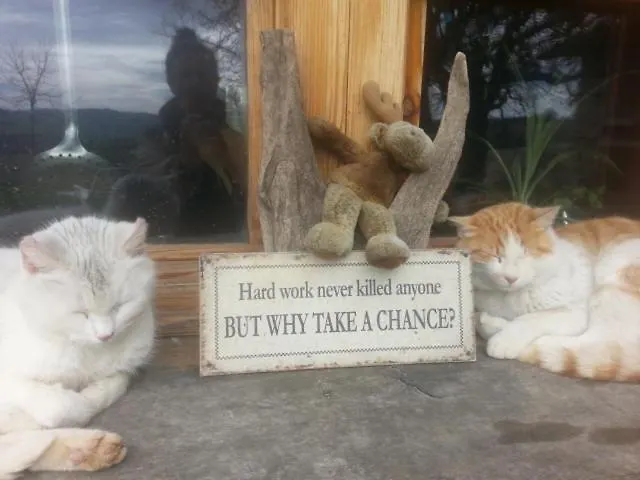 Casa Della Casa San Severino Marche