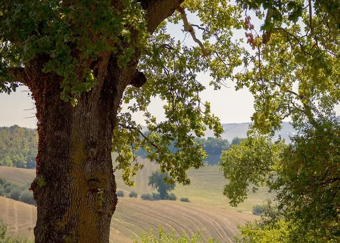 Casa Della Casa San Severino Marche