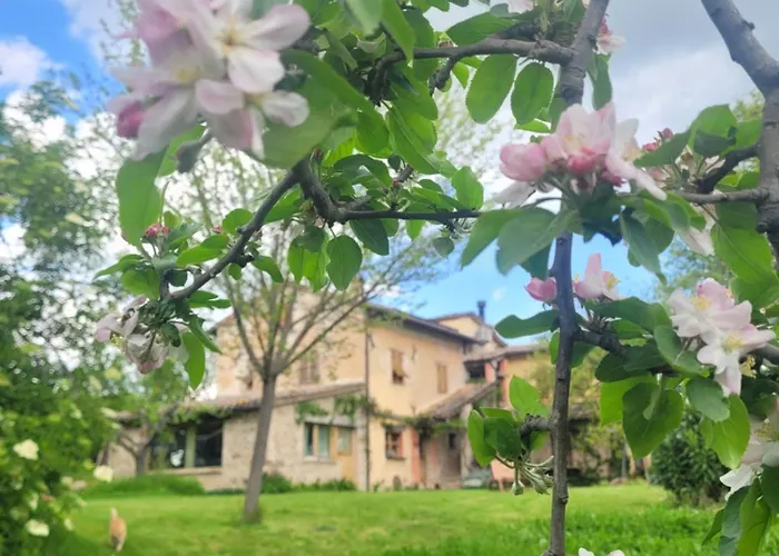Daire Casa Della Casa San Severino Marche