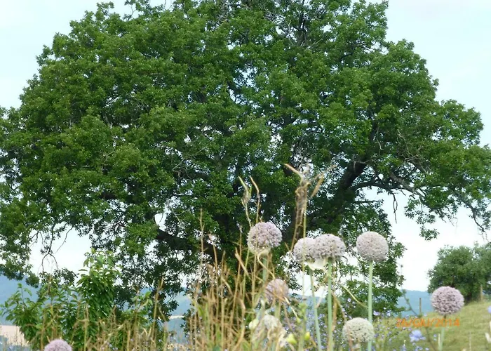 Daire Casa Della Casa *