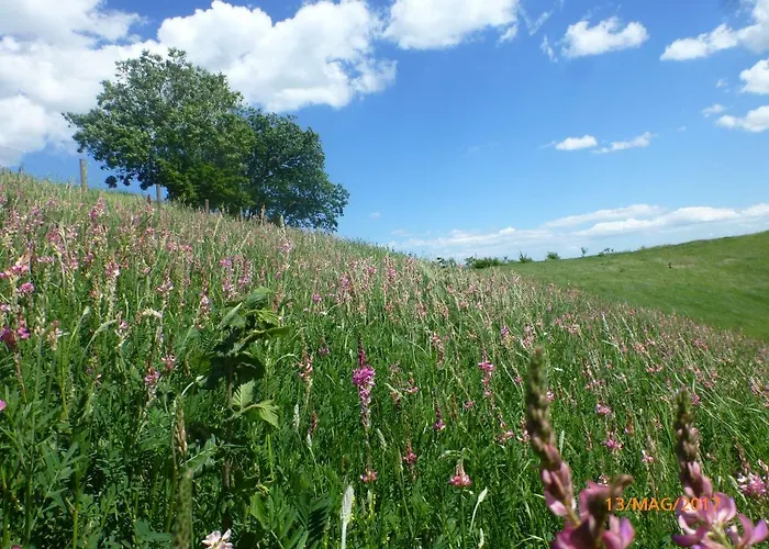 Casa Della Casa Daire San Severino Marche