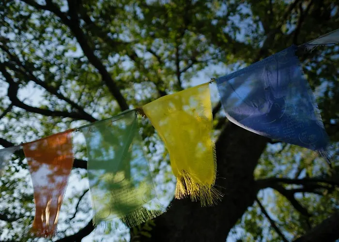 Apartment Casa Della Casa